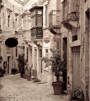 image (1)